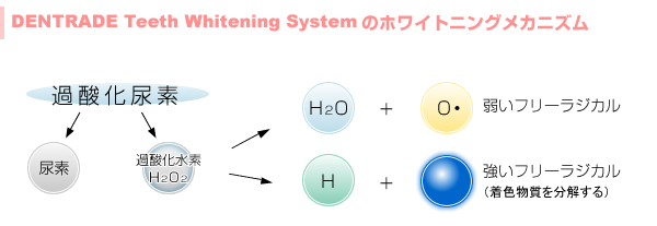 歯を白くする